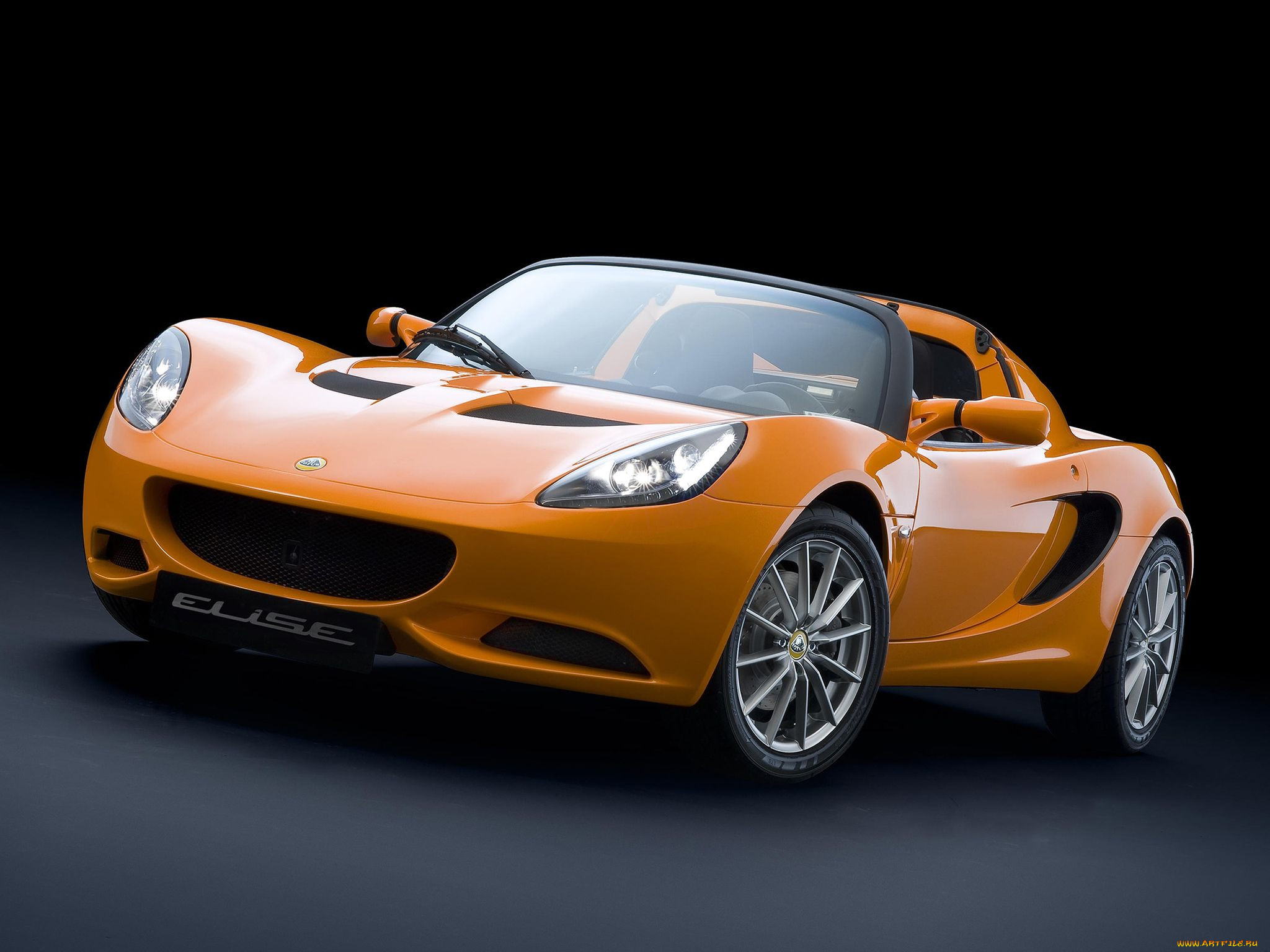 , lotus